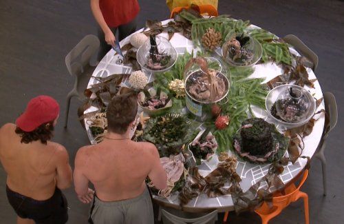 யார் வாரம் 10 PoV