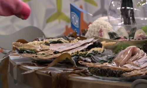 யார் வாரம் 10 PoV