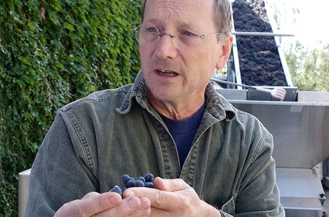 chris howell, cain, jarní horské hrozny