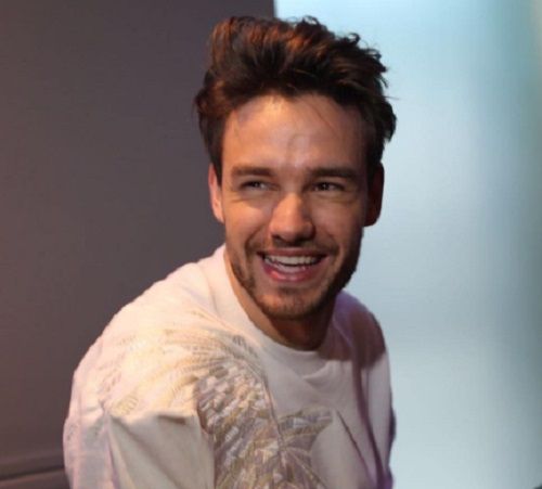 Feud Feud Feud: Liam Payne vrijeđa Harryja Stylesa i Zayna Malika