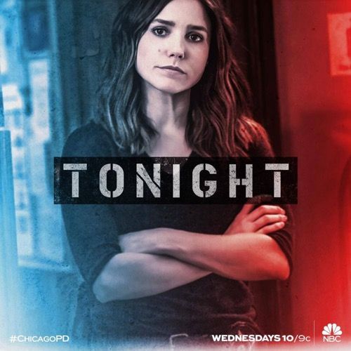 Итоги финала полицейского управления Чикаго: сезон 4, серия 23