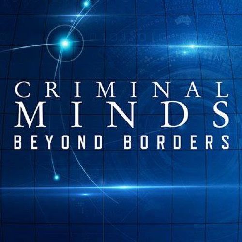 العقول الإجرامية: خلاصة ما وراء الحدود