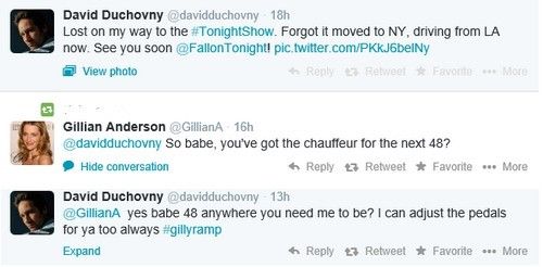 ديفيد دوشوفني وجيليان أندرسون