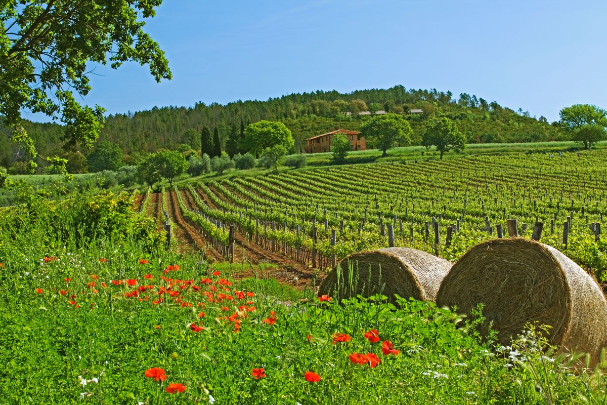 Labākās oktobra brīvdienas