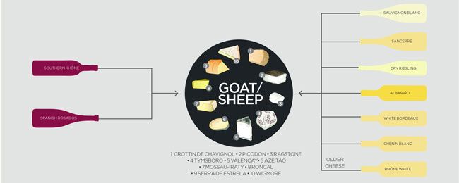 Queso y vino - Cabra y Oveja