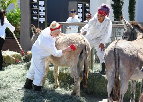 Hell’s Kitchen Recap 02/04/21: 19. hooaja 5. jagu