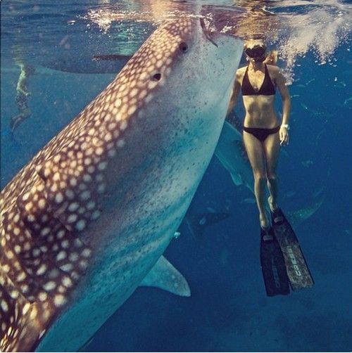 איאן סומרהלדר