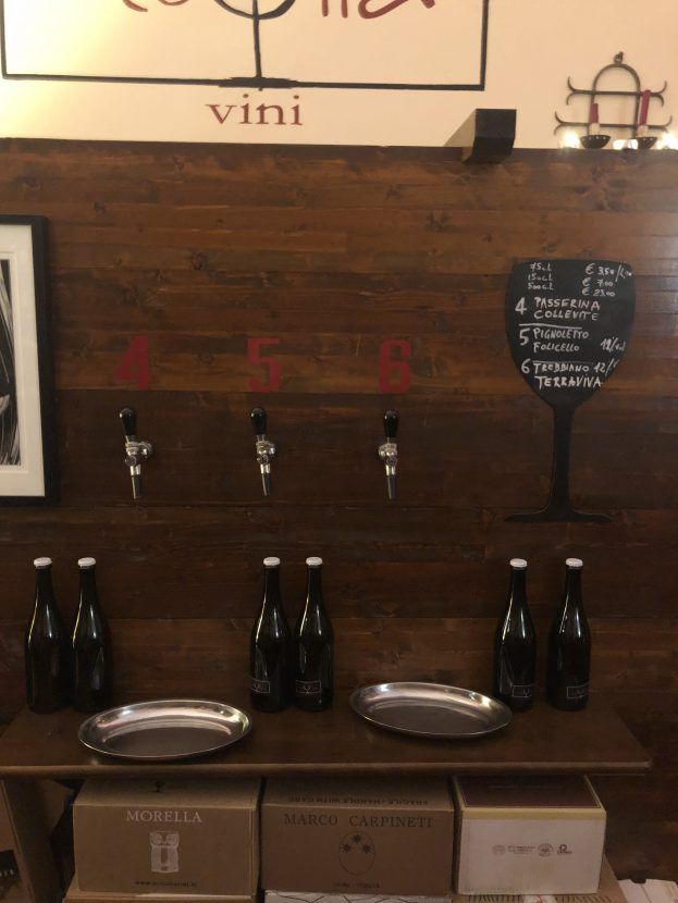 Medulla Vini, Bologna