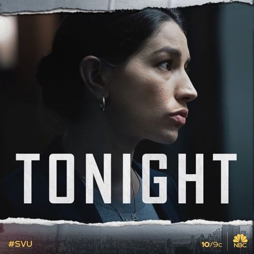 Law & Order SVU Recap 11/14/19: Season 21 Episode 8