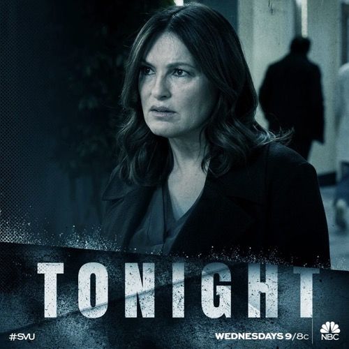 Resumen de la ley y el orden