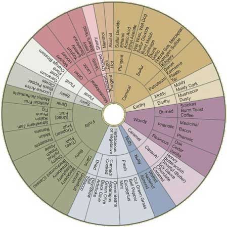 Roată de aromă de vin de Dr. Anne Noble