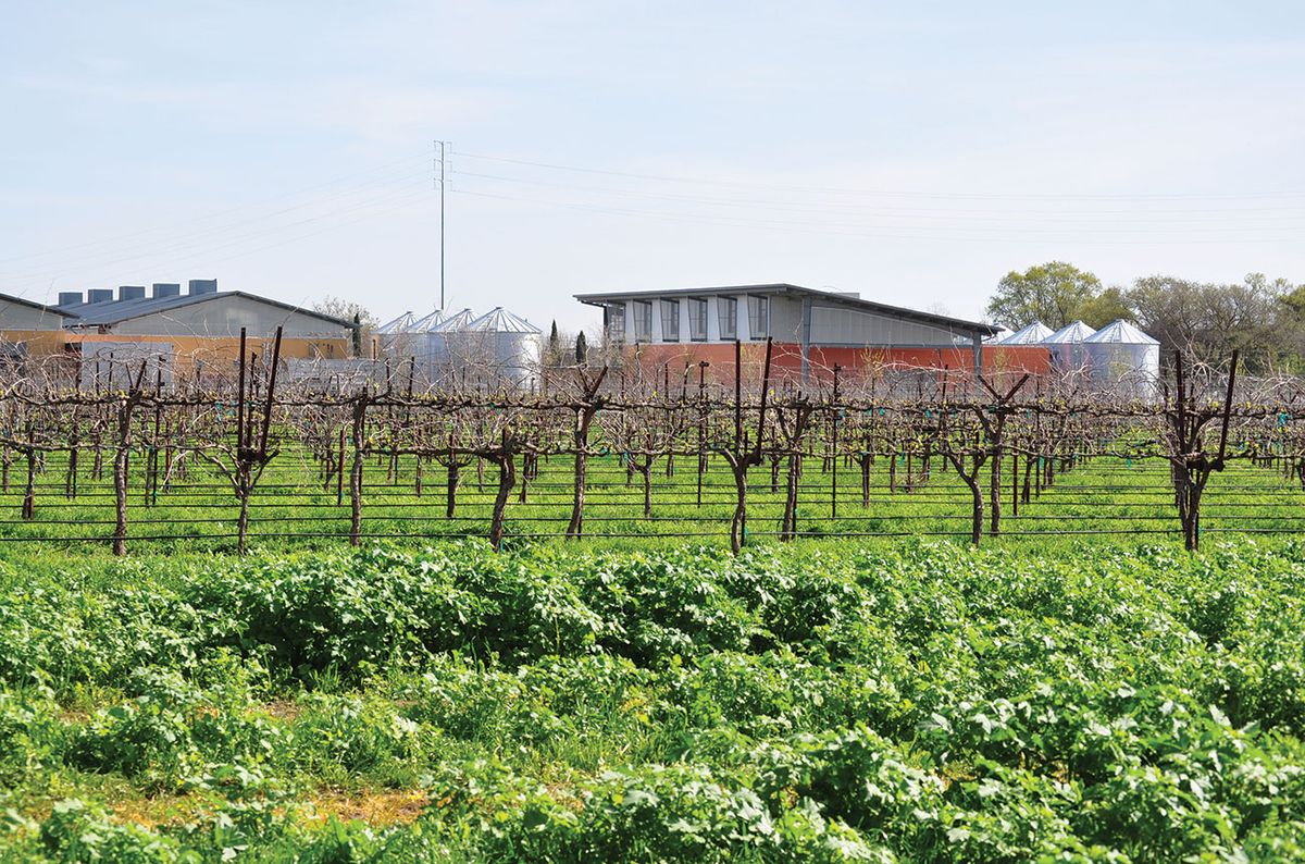 UC Deivisa ilgtspējīgā vīna darītava