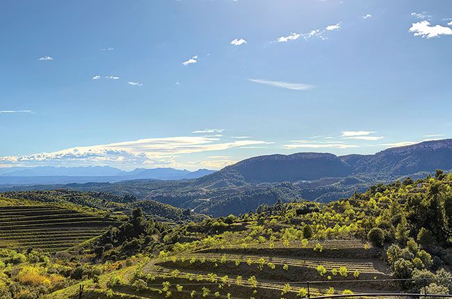 Отель Trossos del Priorat