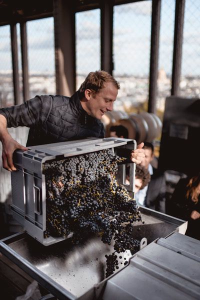 Cave à vin de la Tour Eiffel versant les raisins
