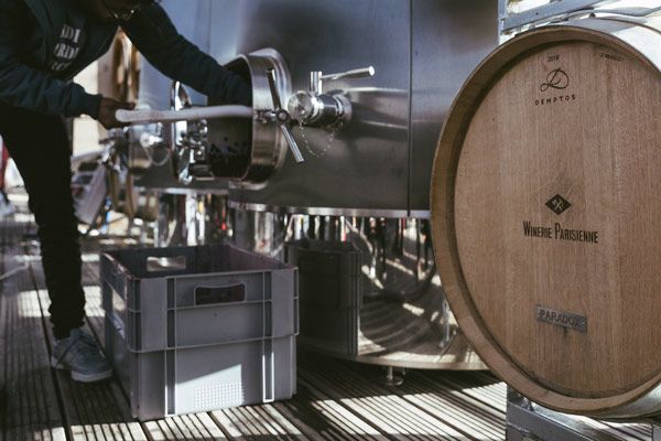 Cuve viticole de la Tour Eiffel