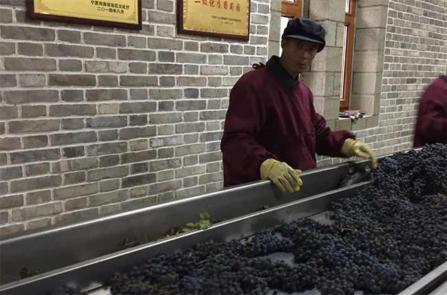 Chateau Zhihui Yuanshi, Ningxia, Chiny