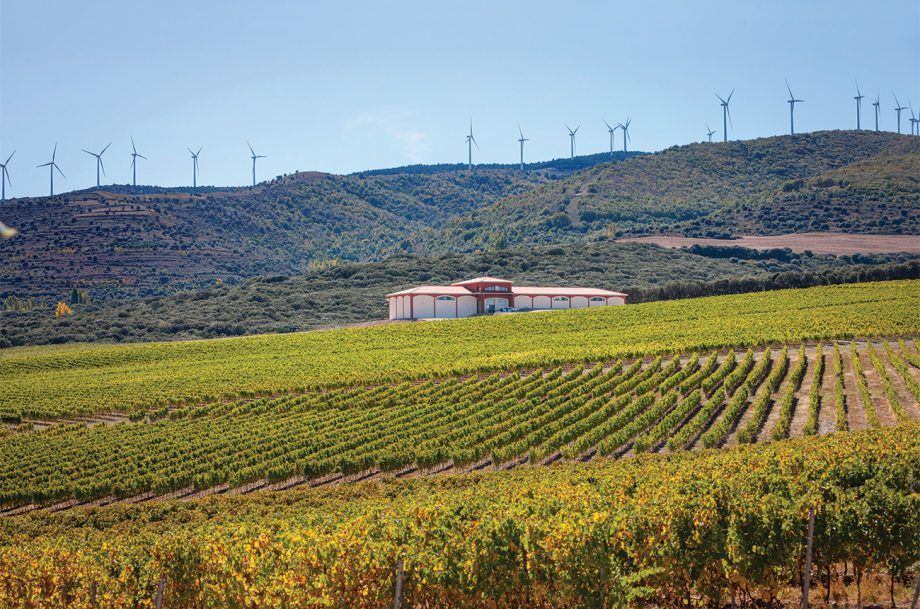 El Coto De Rioja Finca Carbonera