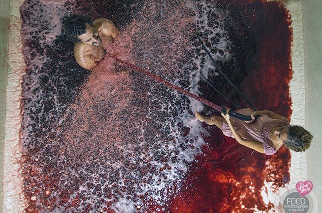 Matt Wilson, fotograf wina roku 2016