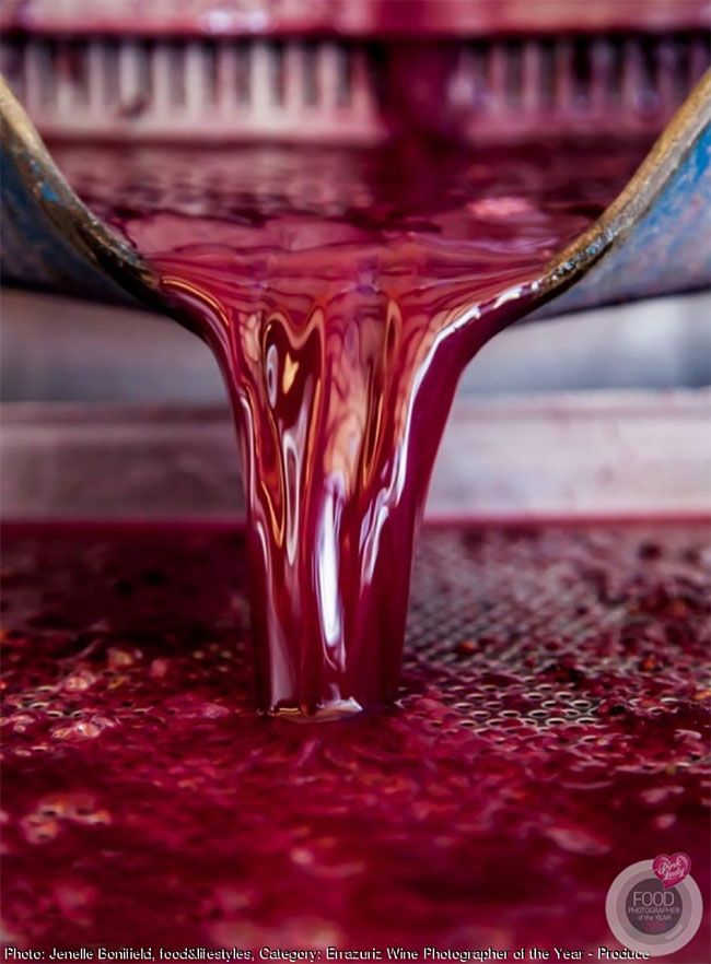 Zdjęcie wina Errazuriz z roku 2016 - produkcja