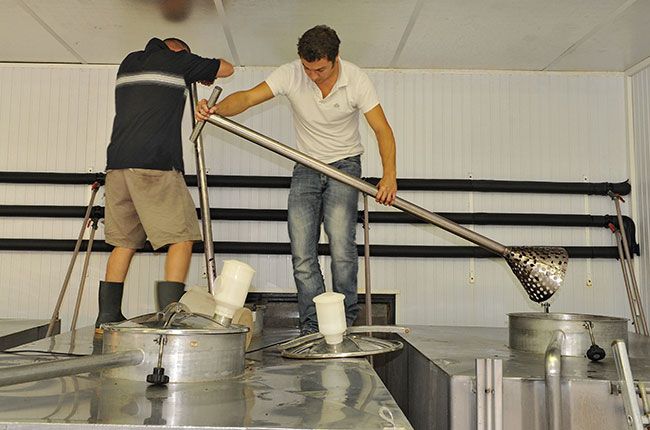 シャトーシャンデソールでの発酵