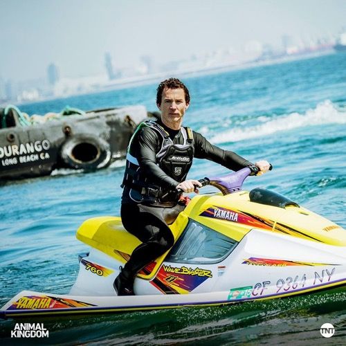 Recapitulació del Regne Animal 8/8/17: Temporada 2, Episodi 10