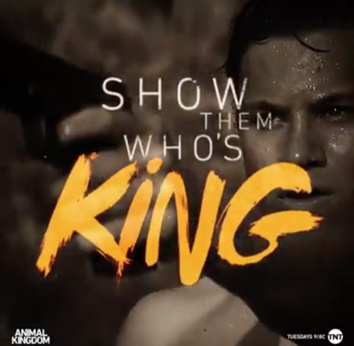 Resumen del Reino Animal 21/6/16: Temporada 1 Episodio 3