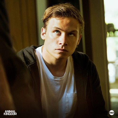 Animal Kingdom Recap 22/08/17: Stagione 2 Episodio 12