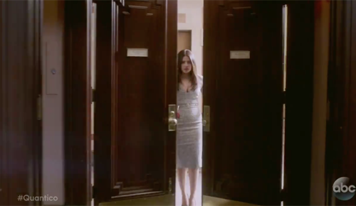 Quanico-резюме