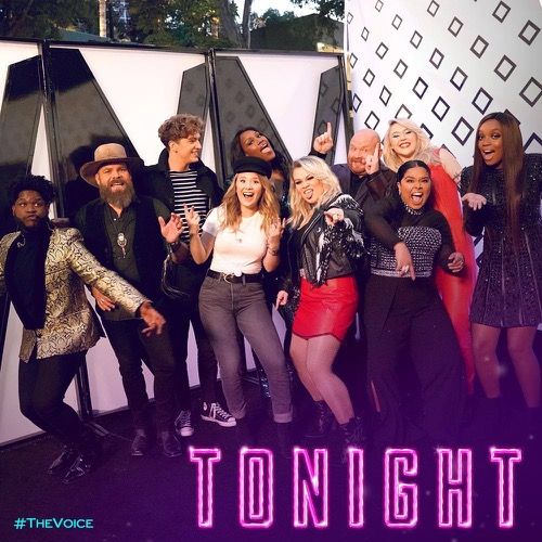 వాయిస్ రీక్యాప్ 12/5/17: సీజన్ 13 ఎపిసోడ్ 23