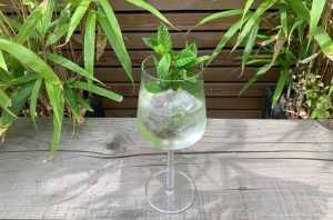 Hugo Spritz Cocktail