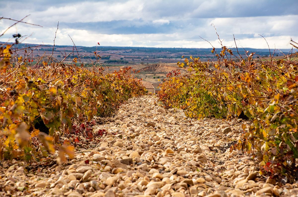 Suelos de piedra de Toro