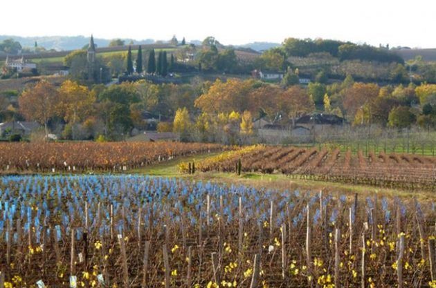 Miền của nhà máy