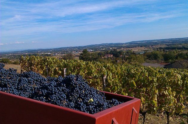 Domaine de la Ramaye