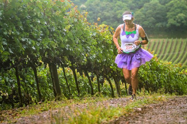 dél-amerikai borfesztiválok