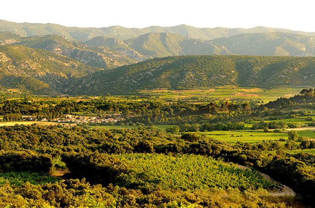Mas de Daumas Gassac, Gassac Valley, Languedoc
