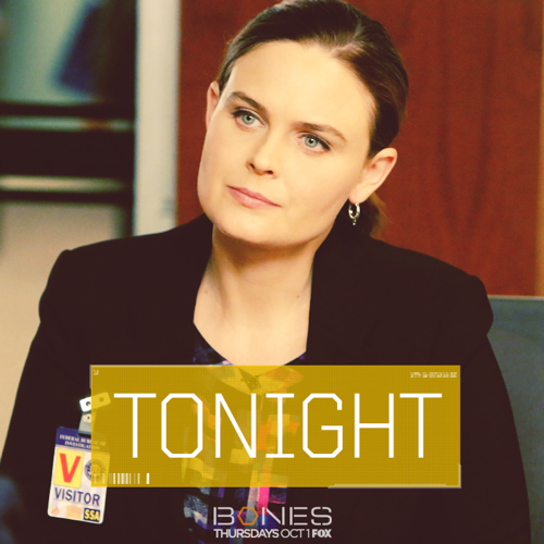 „Bones Recap“ pavasario premjeros pakartojimas 16.04.14: 11 sezono 11 serija „Mirtis gynyboje“