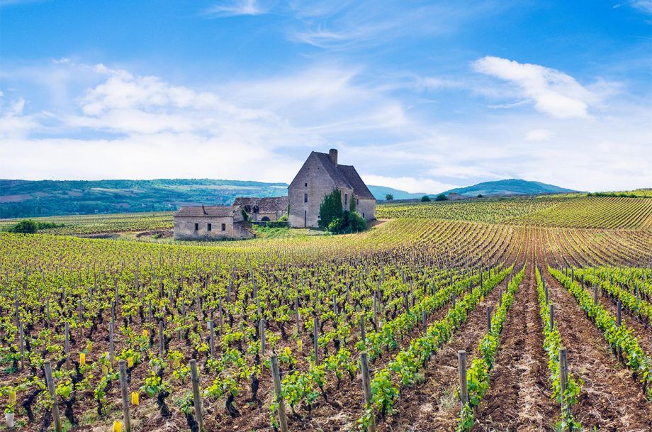 Parimad 2018. aasta Côte de Beaune en primeuri veinid...