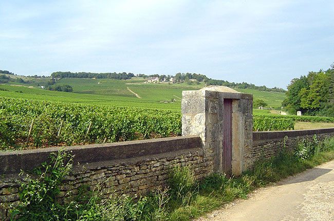 Givry, Côte Chalonnaise