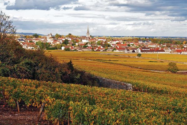 Profil pengeluar: Domaine des Comtes Lafon...