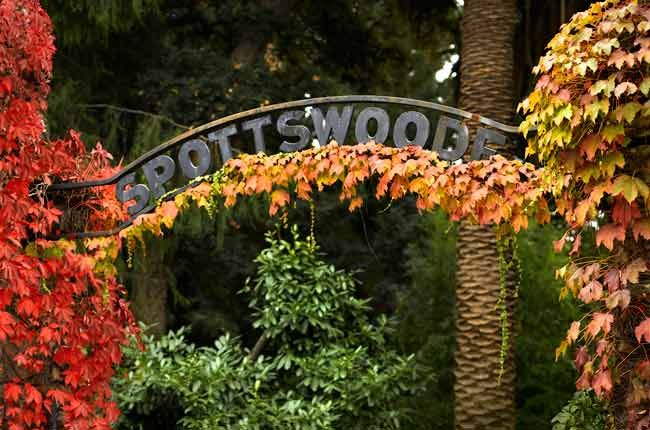 Entrada de Spottswoode Estate