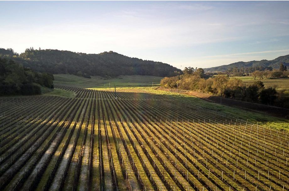 シルベラードヴィンヤーズ:レーダーの下でナパカベルネ...