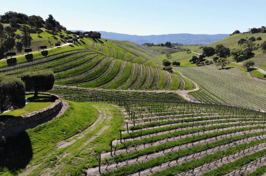 California Syrah: topp Santa Barbara County viner...