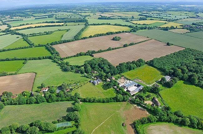 Hattingley Valley, vin englezesc