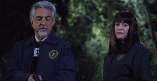 Podsumowanie Criminal Minds 02.12.20: Sezon 15 Odcinek 8 Drzewo genealogiczne