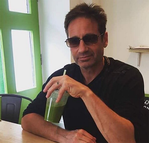 X-filerne annulleret eller fornyet: David Duchovny og Gillian Anderson forlod tv-tidsplanen 2016-2017