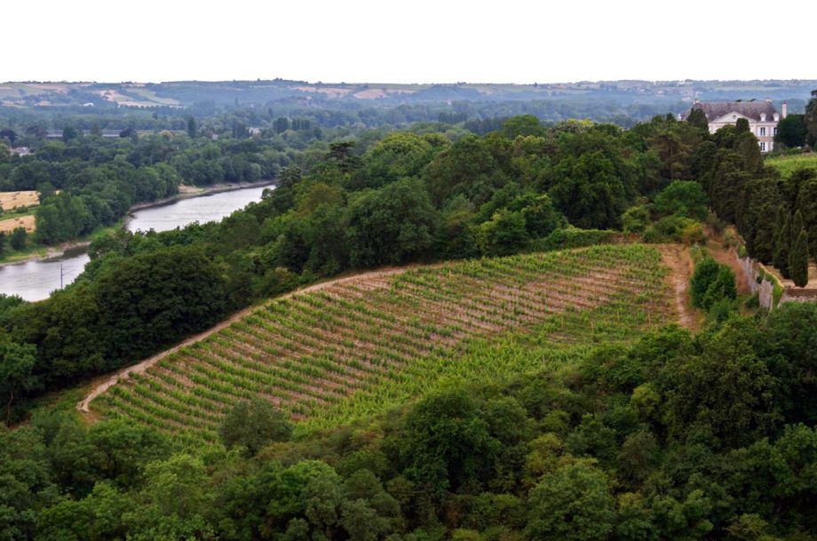 Perfil regional: Savennières...