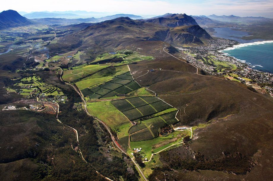 Hamilton Russell Vineyards: profilul producătorului...