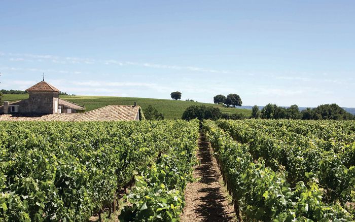 St-Emilion: 10 suurta luokiteltavaa kasvua...