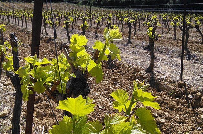 সোমবার জেফর্ড: বৈকল্পিক দৈত্য...