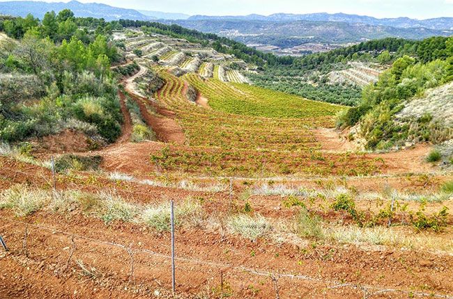 Jefford pada hari Isnin: Montsant - berdiam diri dan seterusnya...